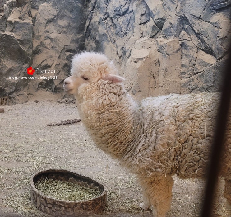 부산 가볼만한곳 실내동물원 캐니언파크 1탄 부산 가볼만한곳 실내동물원 캐니언파크 1탄
