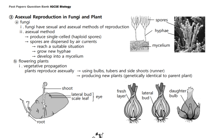 IGCSE Biology Topical Past Papers 16_Reproduction
