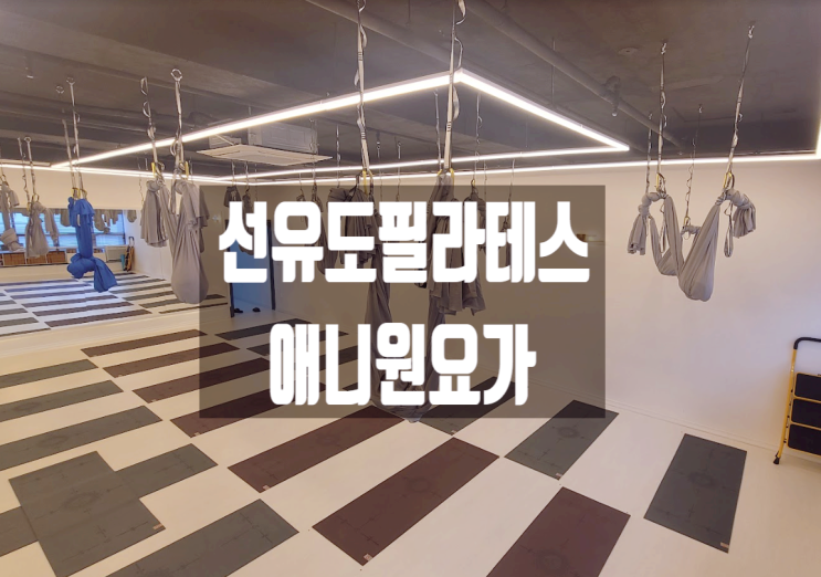  [선유도 필라테스/요가] 다양한 기구 활용과 맞춤형 수업 애니원요가