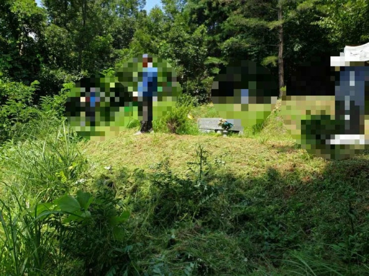  2022년 김천시 어모면 구례리 465 김천벌초 어모면벌초 김천벌초 선산벌초 구미벌초 벌초대행 추석벌초 고인돌장묘개발 #김천벌초 #선산벌초 #구미벌초 #황간벌초 #성주벌초