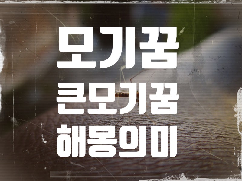 모기꿈 모기한테물리는꿈 모기잡는꿈 모기물린곳이가려운꿈 모기떼꿈 큰모기꿈 해몽