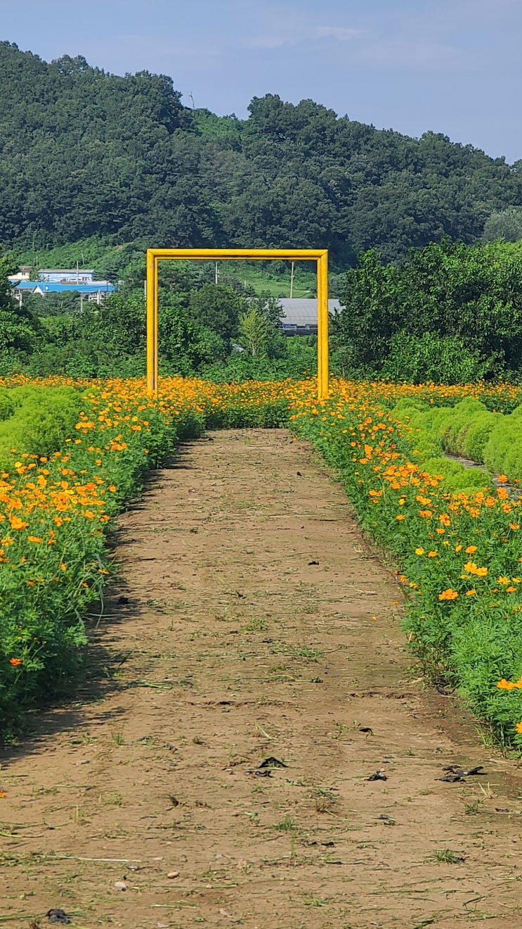  댑싸리공원 경기도여행 가을 소식 전해드려요~