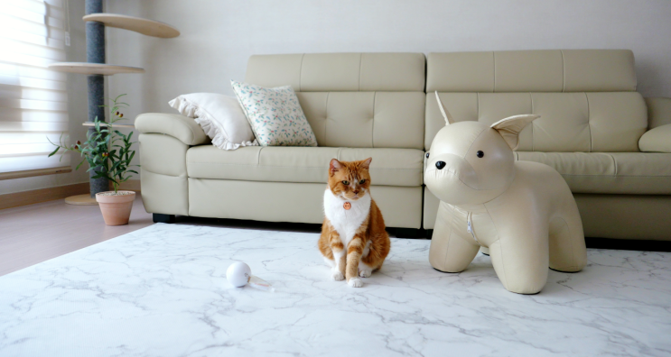 고양이 매트 펫노리터 쿠션감 좋고 관리하기 편한 바닥매트 추천