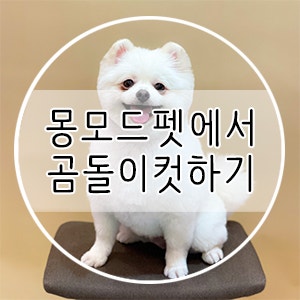사진 4