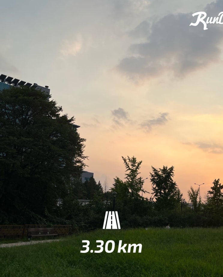 오랜만에 주간일기 | 우리 집 풍경 기록