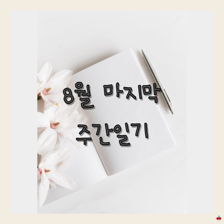  8월 마지막 주간일기 (8/22 ~ 8/28)