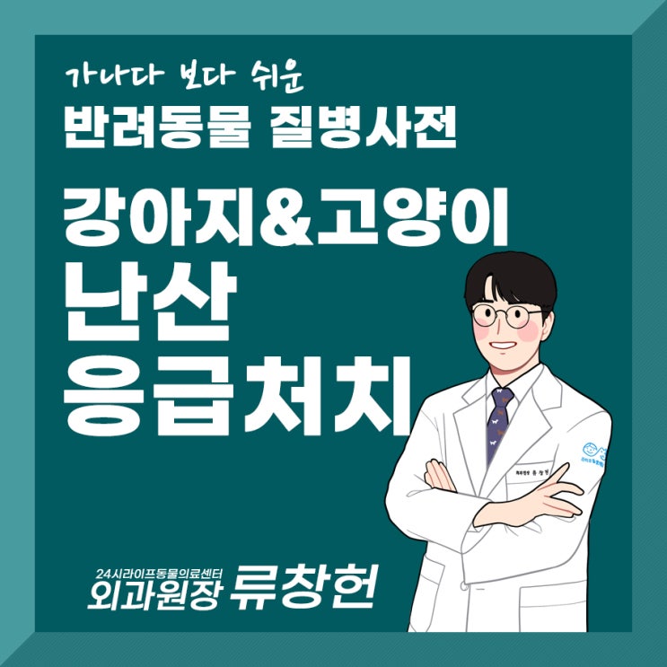 강아지 제왕절개가 필요한 순간, 강아지 고양이 난산 응급처치 : 대구24시동물병원 라이프동물의료센터