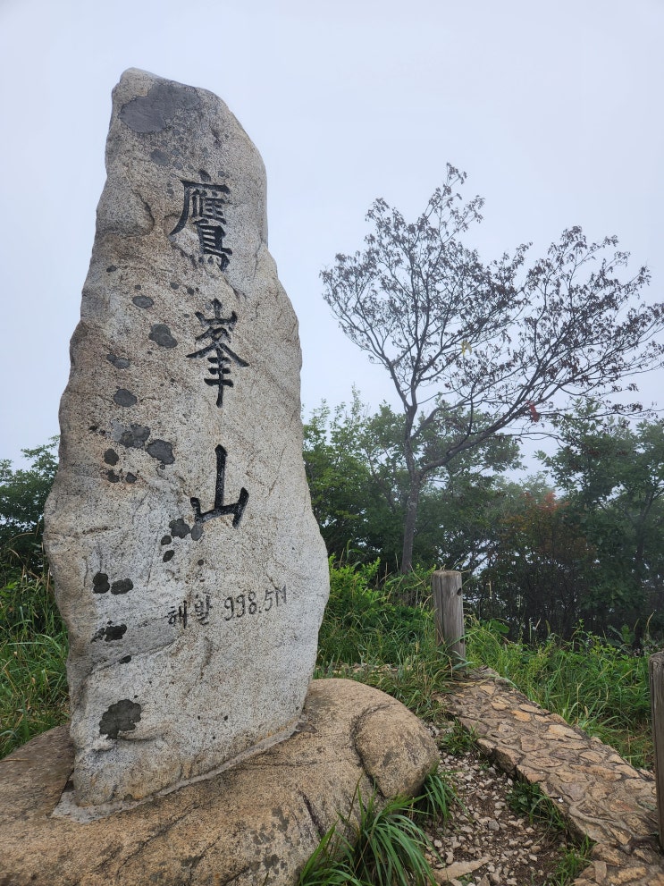  강원도 삼척 응봉산 등산코스,최단코스(덕구온천방향)
