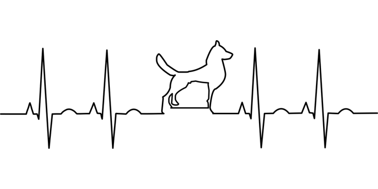  심근경색증(myocardial infarction)이란