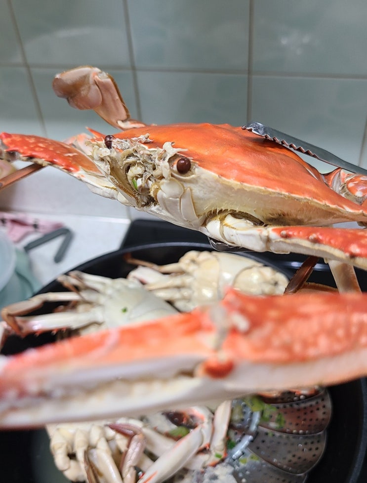  9월 제철 꽃게 맛있게 쩌먹기