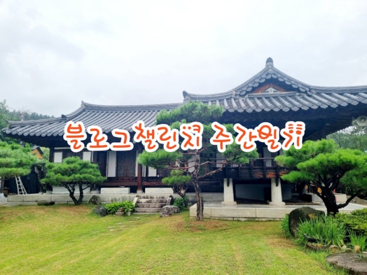  [블챌] 주간일기 챌린지 8/19~8/25