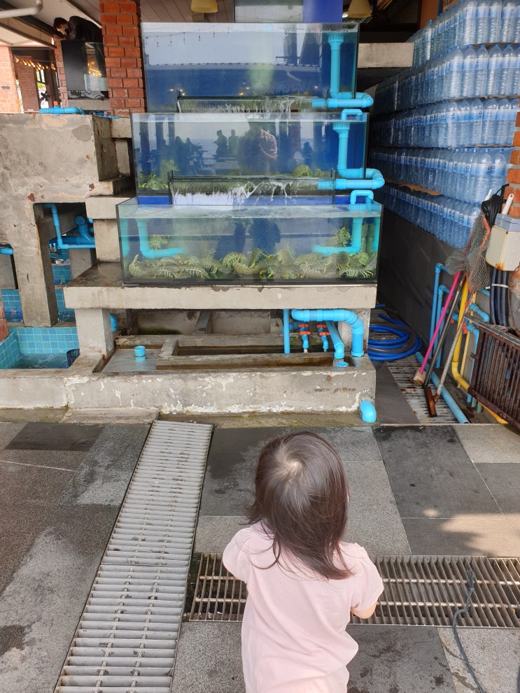  태국 파타야 PUWAAN 카페를 갔어요