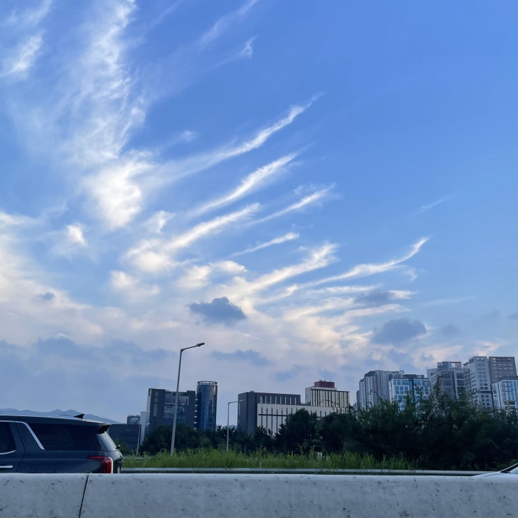  [8월 넷째주] 진카츠, 진로 차량용 방향제, 광명 ak 플라자
