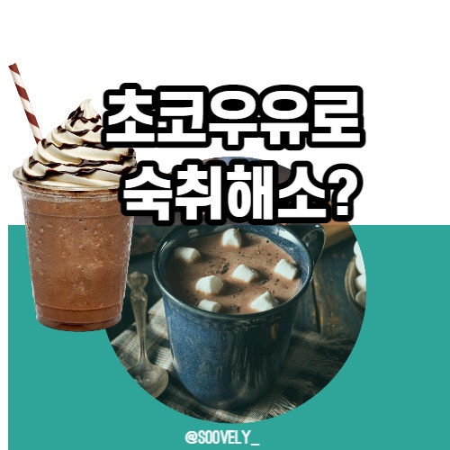  술먹기전초코우유 술먹은후초코우유 숙취효과