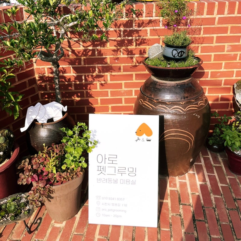사진 2