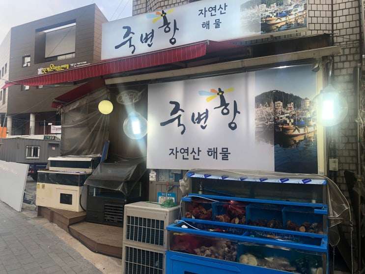  상계역죽변항에서 물회를 먹다