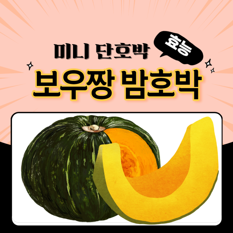 미니 단호박 효능 보우짱 밤호박 보관법 찌는법 총정리 미니 단호박 효능 보우짱 밤호박 보관법 찌는법 총정리