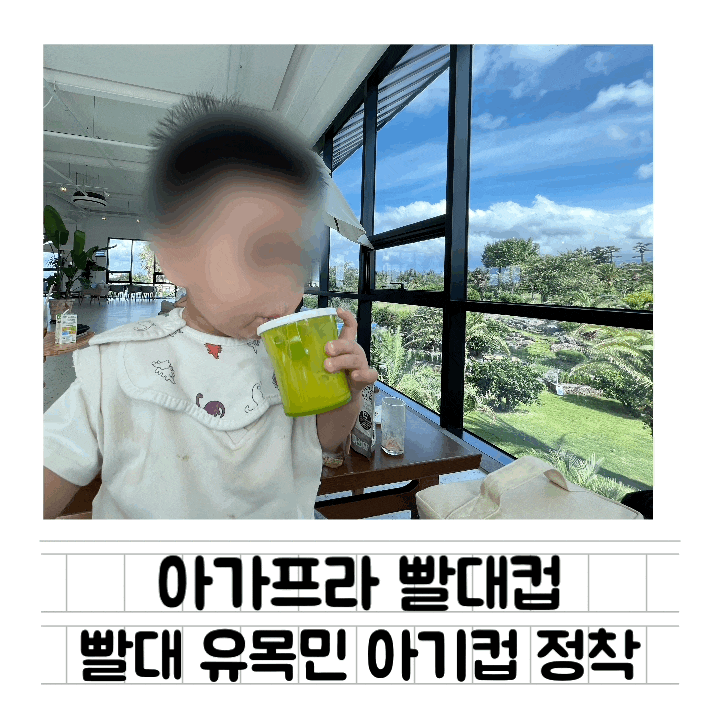  [내돈내산] 아가프라 빨대컵 + 실리콘 빨대 : 세척하기 쉽고 뒤집어도 안 쏟아지는12개월 아기컵 유목민 빨대컵 정착