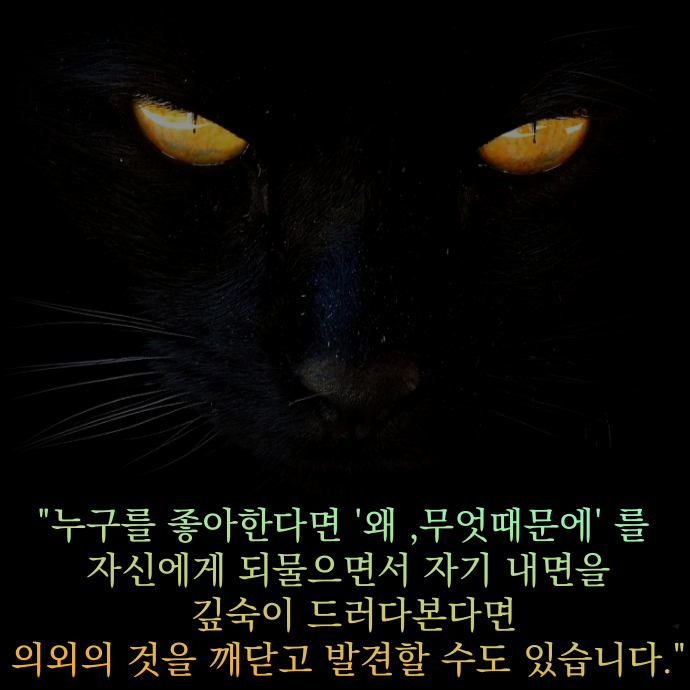  좋은 짧은 추천 외국시 모음: 안나 아흐마토바 " 매장"  , 오늘의 짧은 인생 감동 명언 모음 365, 좋은 사랑 감성 짧은 글귀, 고양이 말풍선 짤.밈