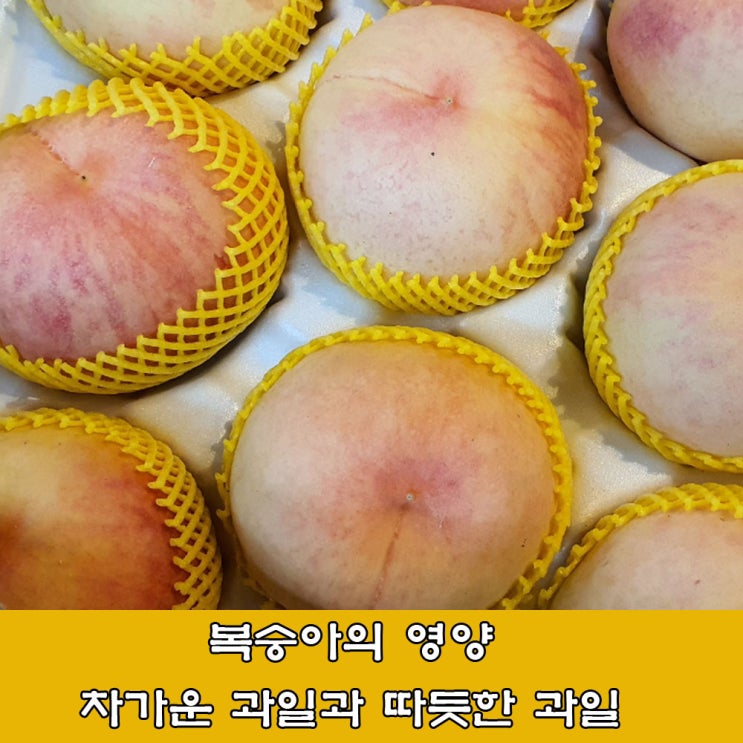  복숭아의 영양, 차가운 과일과 따듯한 과일