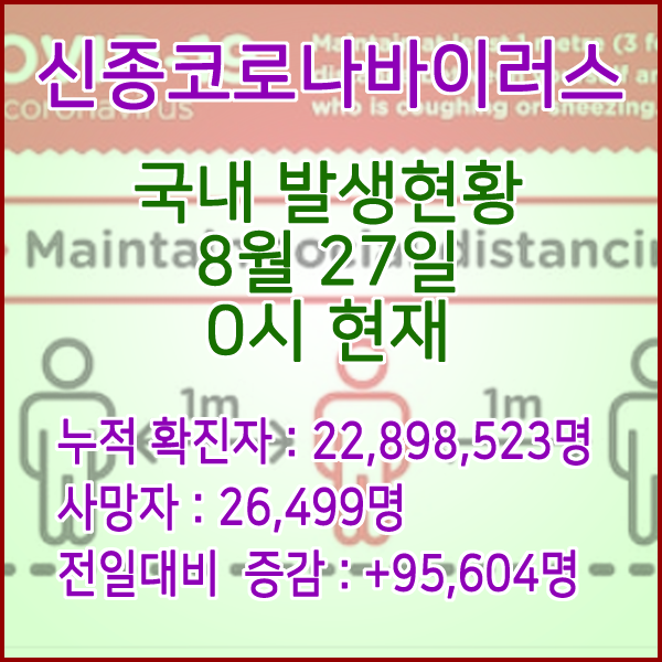  코로나19(코로나바이러스) 8월 27일 0시 신규확진자 95,604명 / 사망자 26,499명