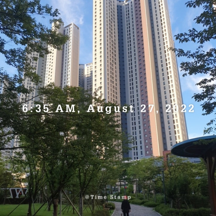  기분을 관리하면 인생이 관리된다