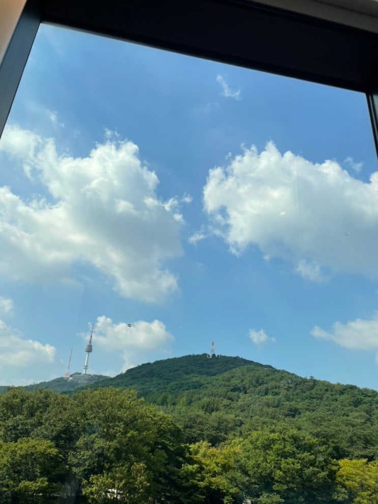  여름 호캉스 | 서울 그랜드 하얏트 체크인 꿀팁부터 에프터눈티, 룸서비스, 야외수영장까지!