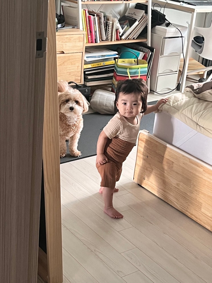  [블챌] 10주차/ 아기방액자/ 6개월아기 일상/ 아기 낙상,,,