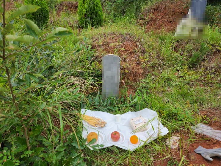  산소개장 후 납골당 안치까지 칠곡군 약목면~~