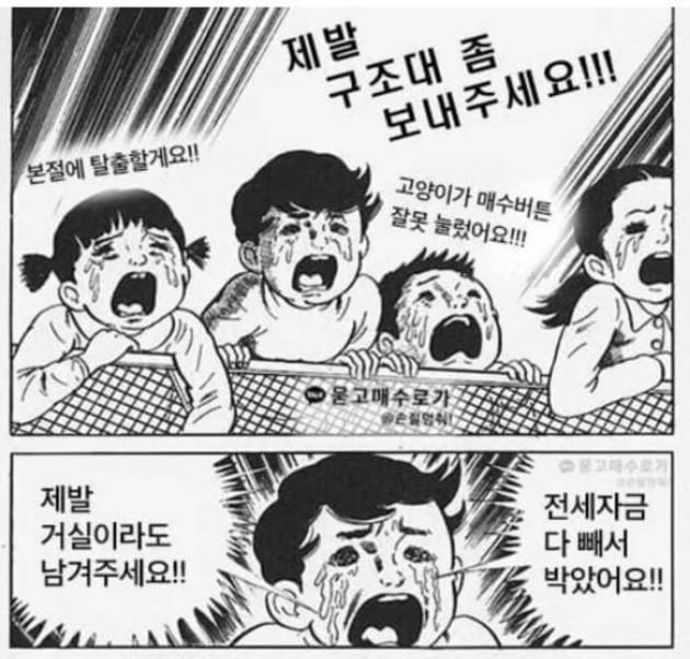 "삼성전자 7억 물렸습니다"…'대출 몰빵' 개미의 비명 [박의명의 불개미 구조대]