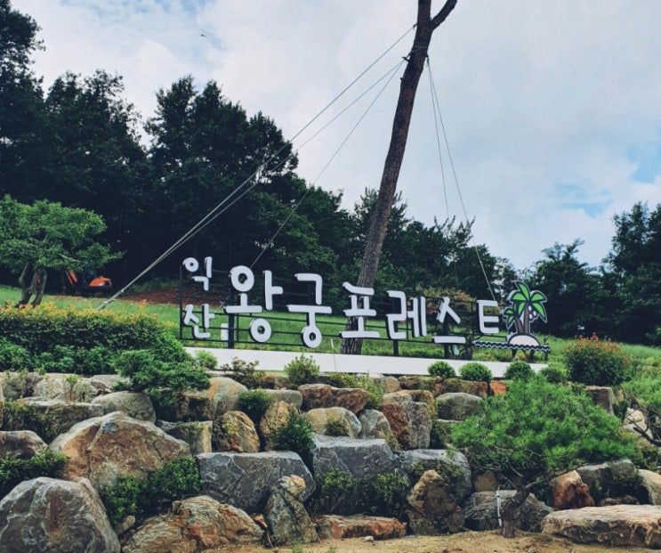 왕궁 포레스트 대형 식물원 카페 익산 가볼만한곳 추천 왕궁 포레스트 대형 식물원 카페 익산 가볼만한곳 추천