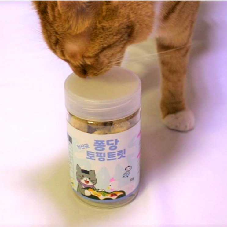  강아지 고양이 유산균 :: 버디펫 유산균 퐁당 토핑트릿