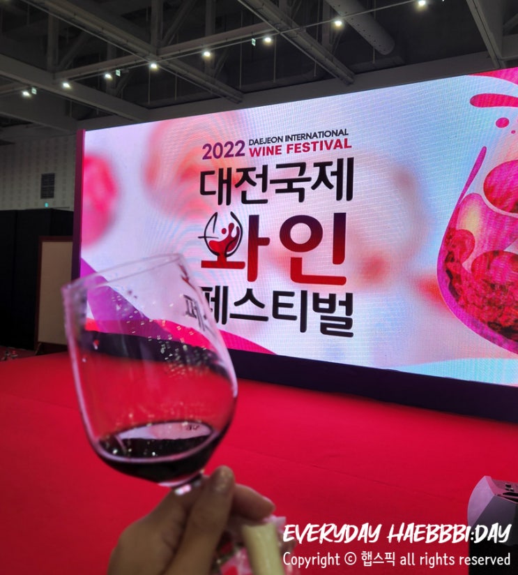  [대전축제] 2022  대전 국제 와인페스티벌 후기/즐기기 팁