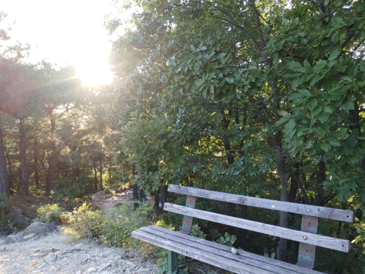 오늘오후 지는 햇살을 마주 보며 망현산을 거닐며...