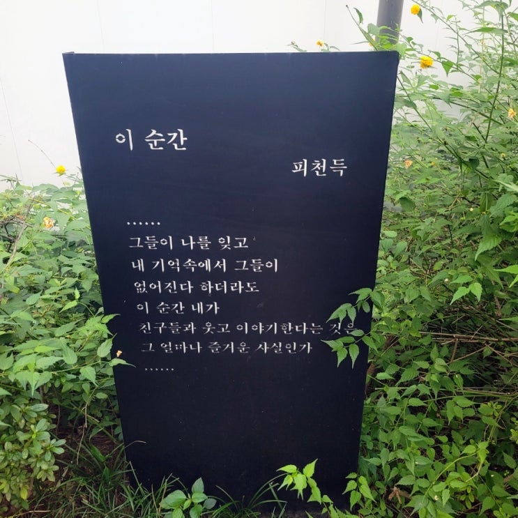 [블챌]주간 공구파는언니일상 8월4주차