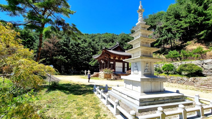 속초 도문동 골말 고즈넉한 산사의 풍경 청용암 절