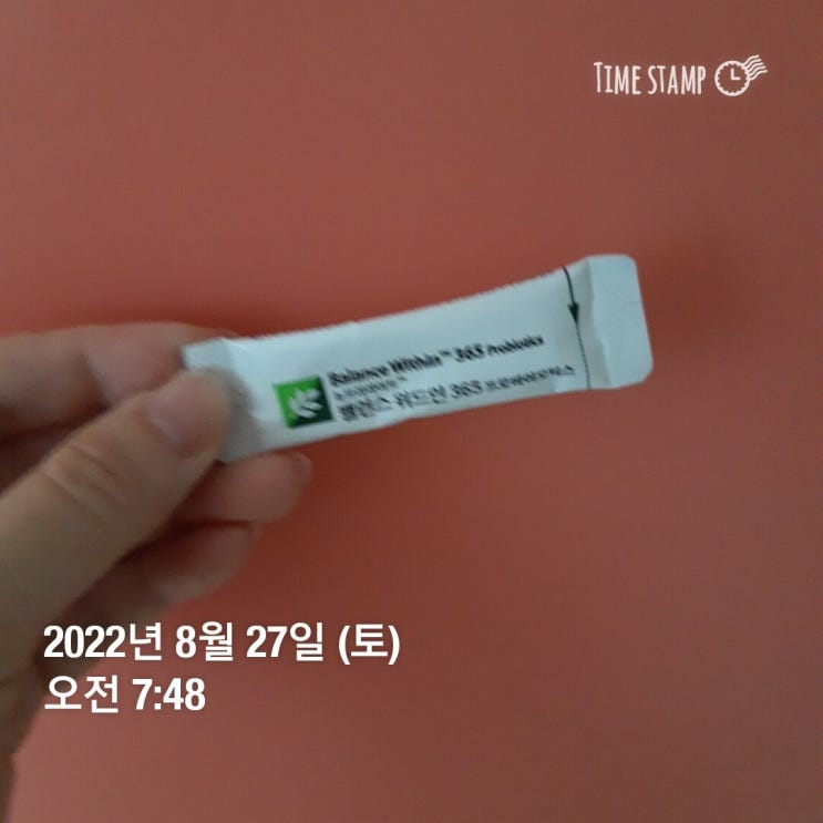  [8월 네째주] 무단히도 노력했지만