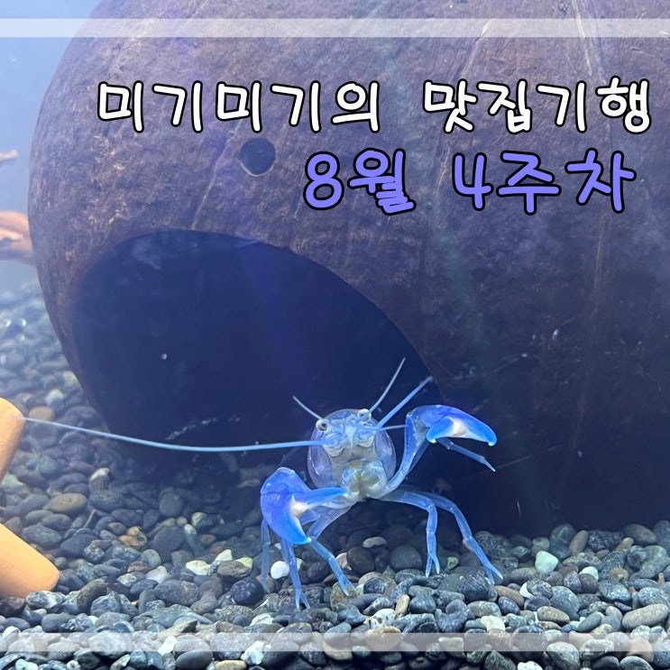  미기미기의 맛집기행 8월4주차 주간일기 맛집탐방 감사의일기