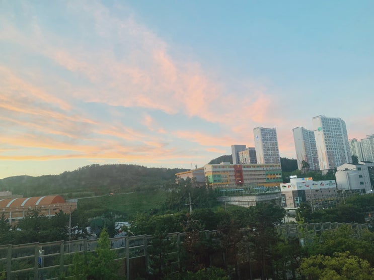 3인 가족의 코로나 자가격리 후기