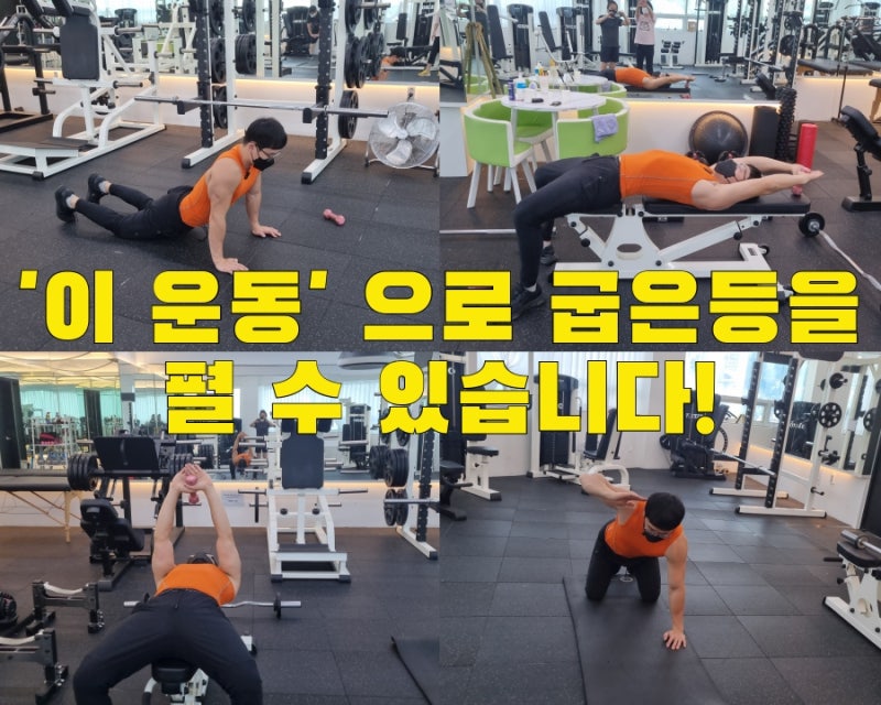 30대여자 비키니대회 나가기 전 웨이트트레이닝 헬스루틴 (여자턱걸이, 삼두운동, 시티드케이블로우)