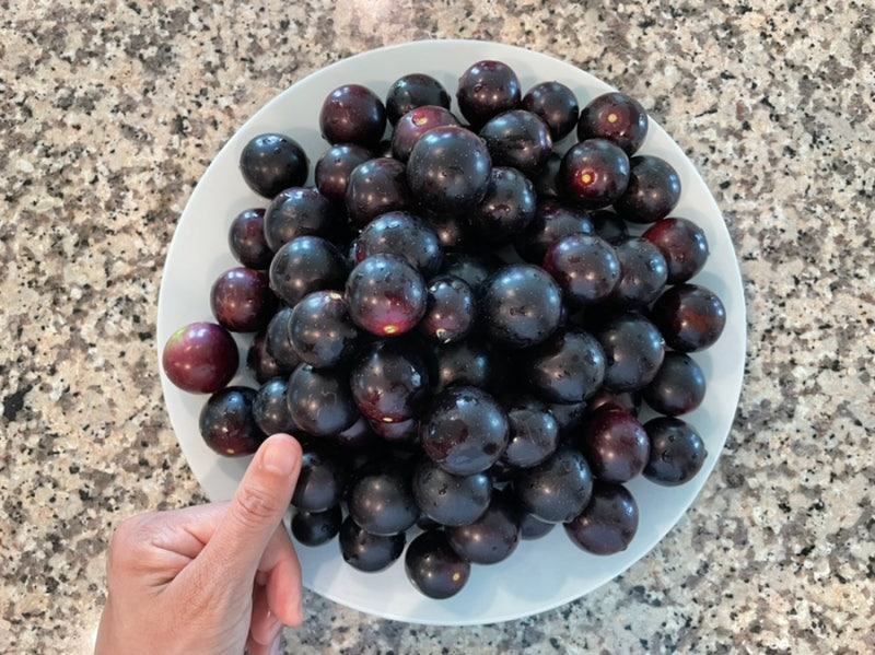 초등학교 적응 중/Hinnant Family Vineyards : 네이버 블로그