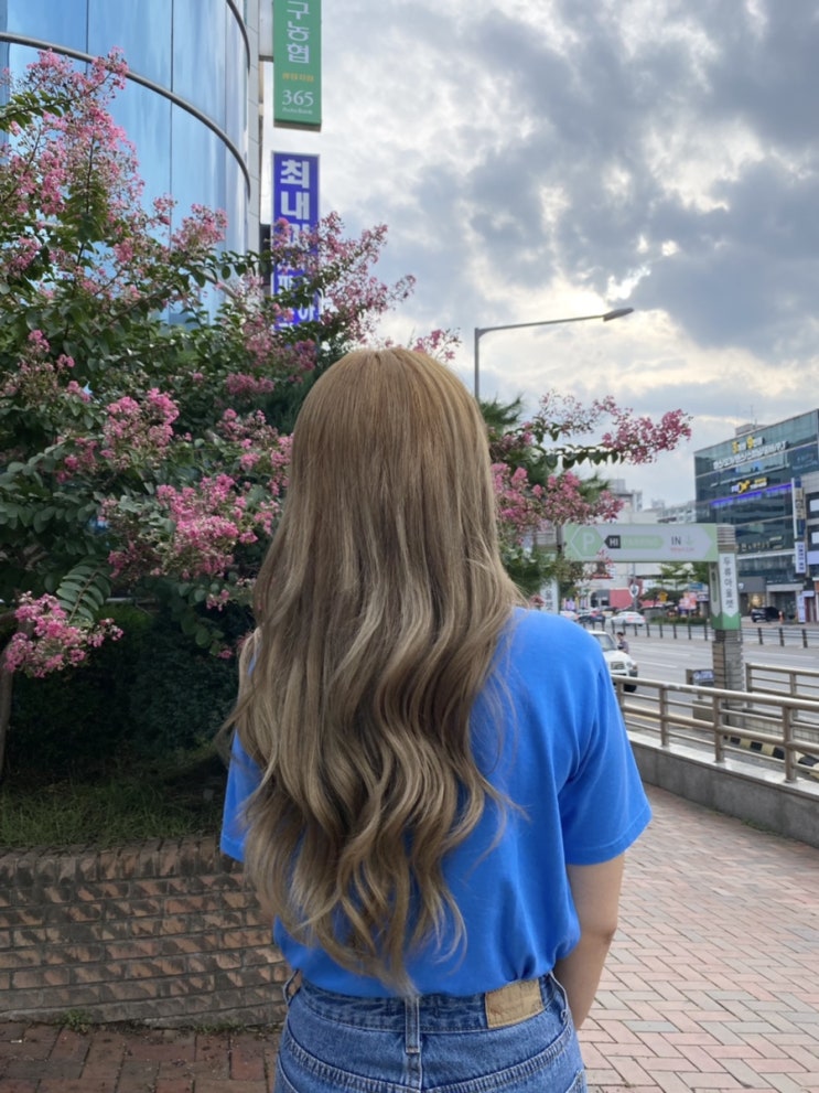  대구 두류동 미용실 탈색 염색 잘하는곳 엠오브뷰티 [ M:of buauty ] 뿌리탈색 & 베이지염색 ㅎㅏ고 왔어요 :)