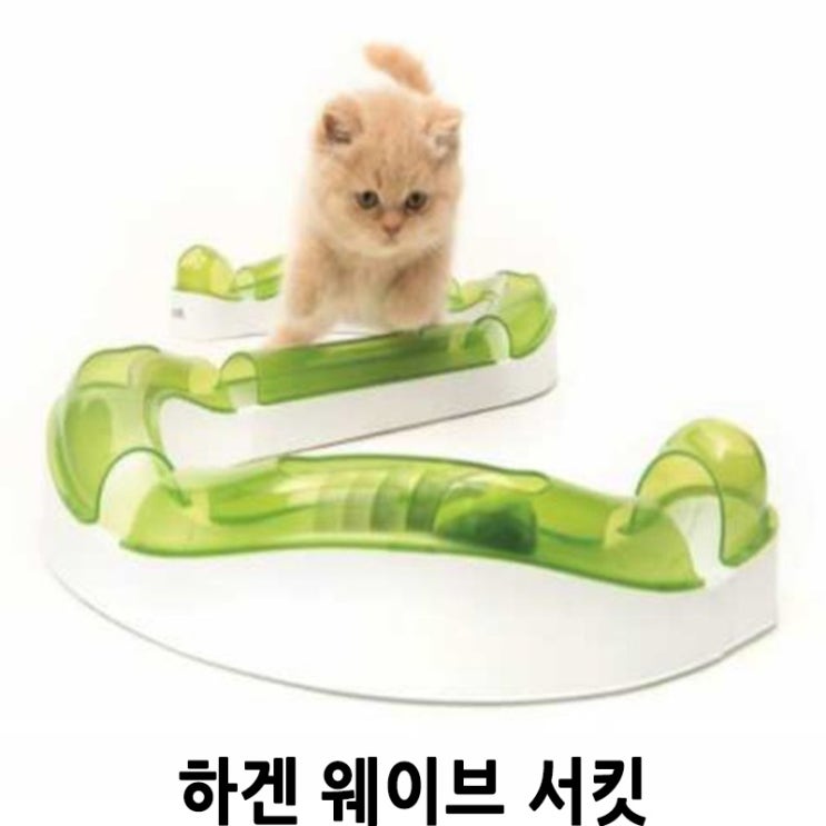  하겐 웨이브 서킷(고양이 노즈워크) 배곧 반려용품점 펫마루