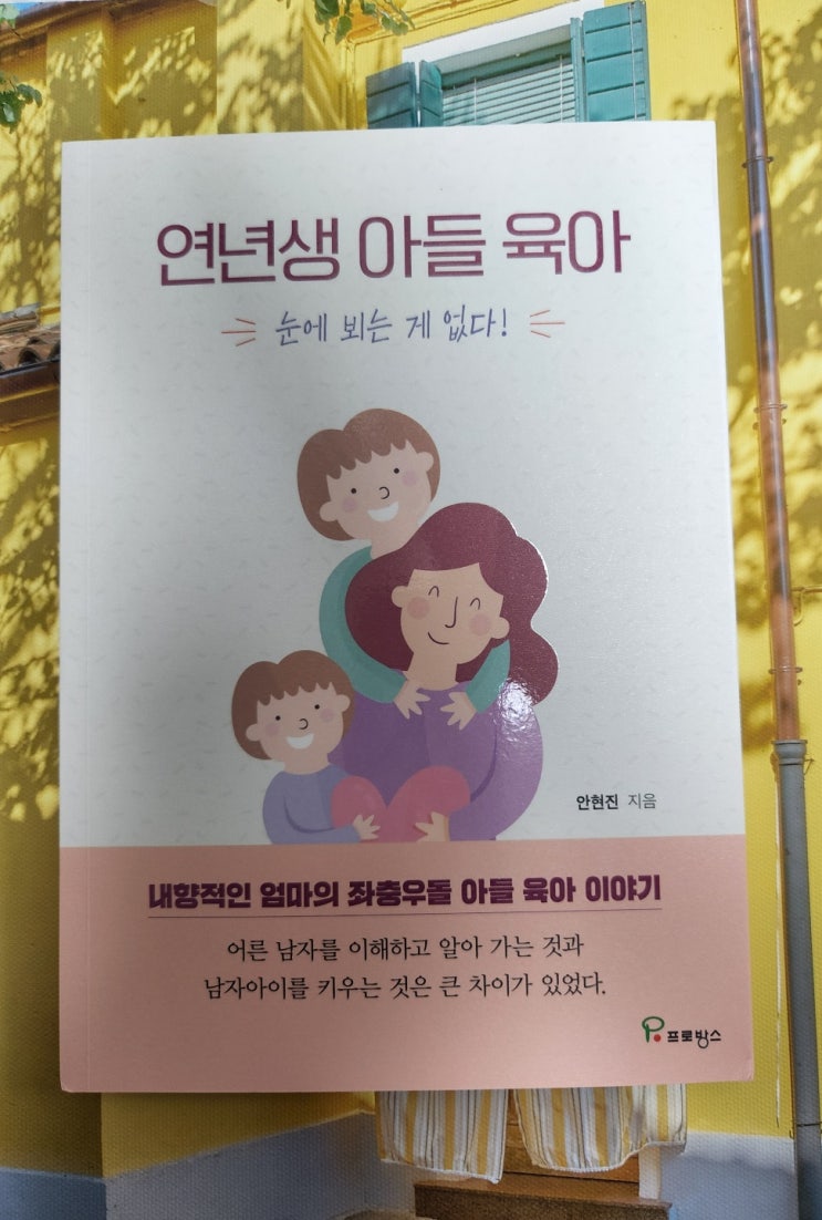 서평 쓰기_연년생 아들 육아 (안현진 작가)