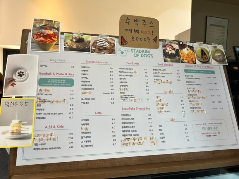 사진 5
