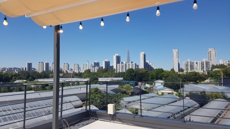  [블챌] 주간일기챌린지 8월 4주: 8월도 무탈하게