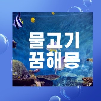물고기 잡는 꿈 물고기 죽어가는 꿈 바다 꿈