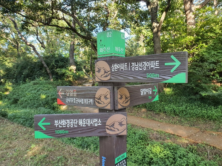  부산 해운대구 와우산 여가녹지공간, 해운대 반려견과 함께 산책하기 좋은 곳