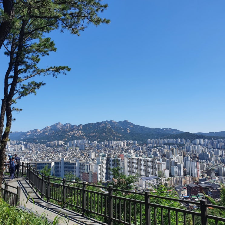  [여행] 서울 둘레길 7코스 (7-2코스, 봉산, 앵봉산)