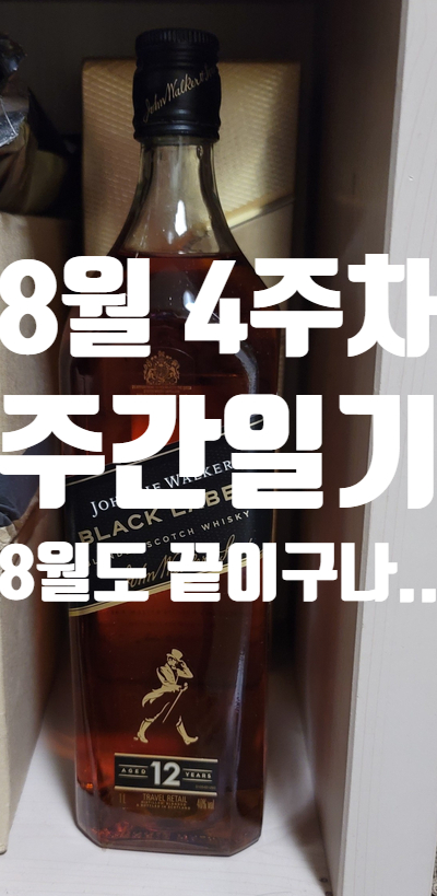  8월 4주차 주간일기 8월의 마지막 나는 어떻게 지냈을까?